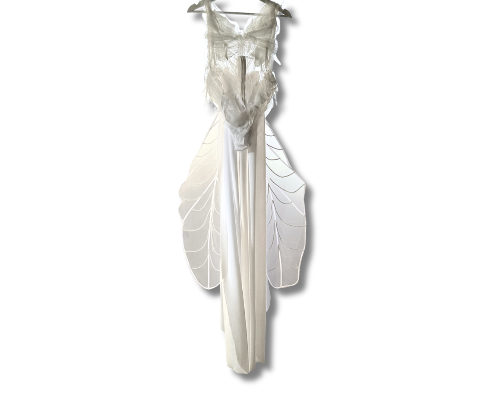 Alexandra Joner’s King & Queen of Moths Halloween costume - Image 1