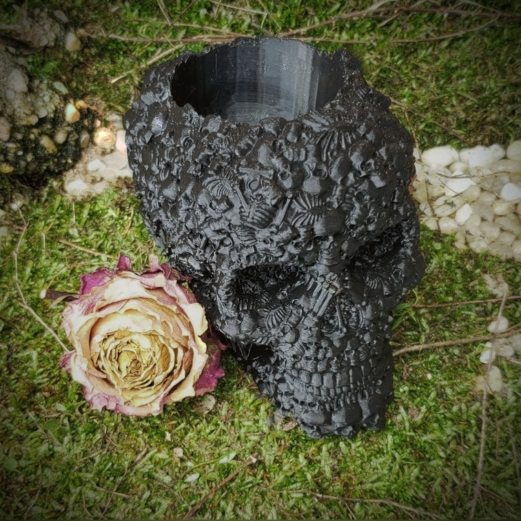 Catacombs Skull Bowl - Image 3